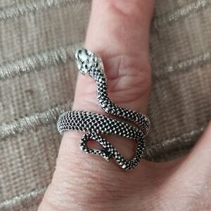 🎄5/$30 Snake Ring